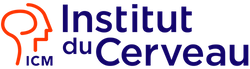 page d'accueil de L'Institut du Cerveau 