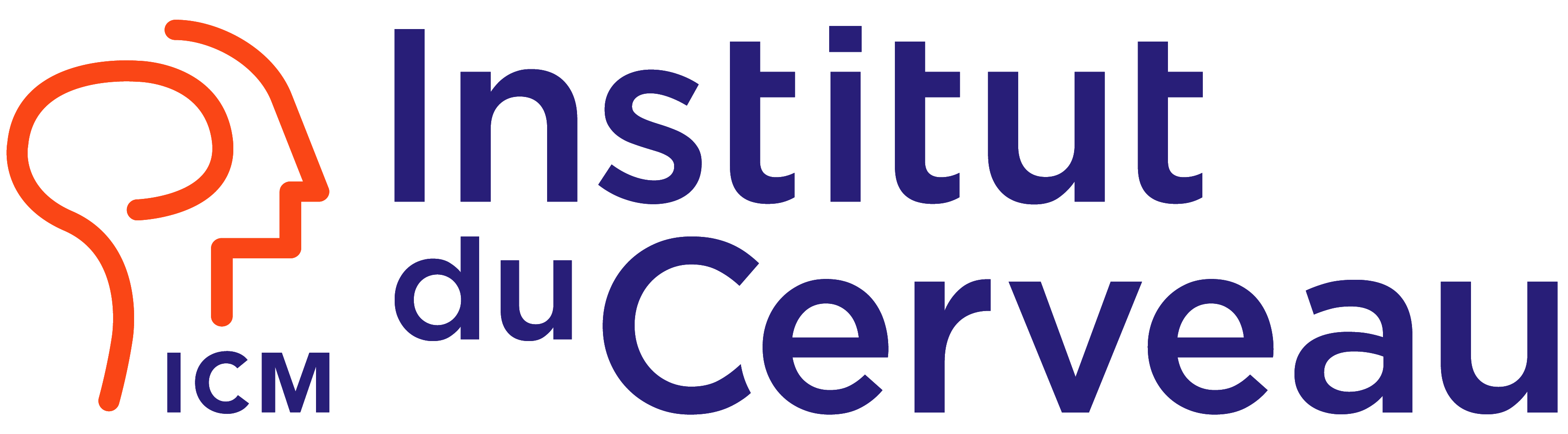 L'Institut du Cerveau 