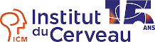 page d'accueil de L'Institut du Cerveau 