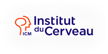 L'Institut du Cerveau 