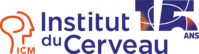 L'Institut du Cerveau 