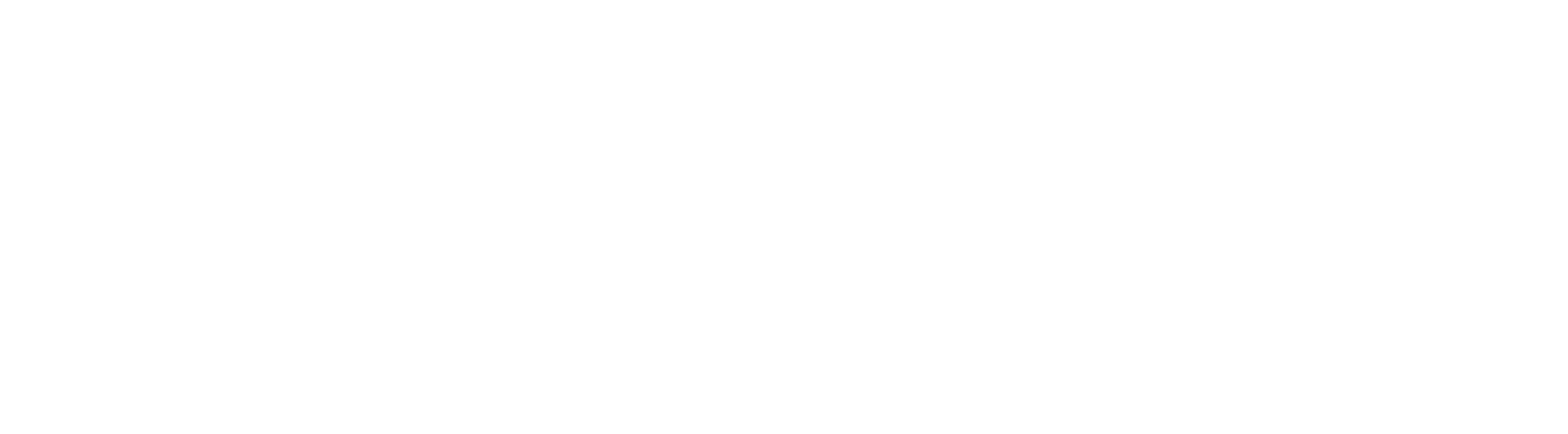 L'Institut du Cerveau 